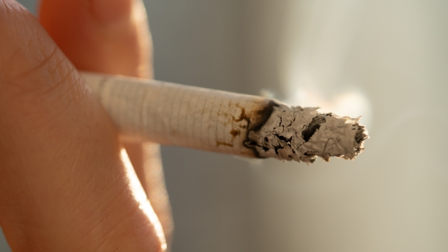 Cigarette with ashes and smoke close-up, macro. Concept about tobacco, nicotine and harm to health.