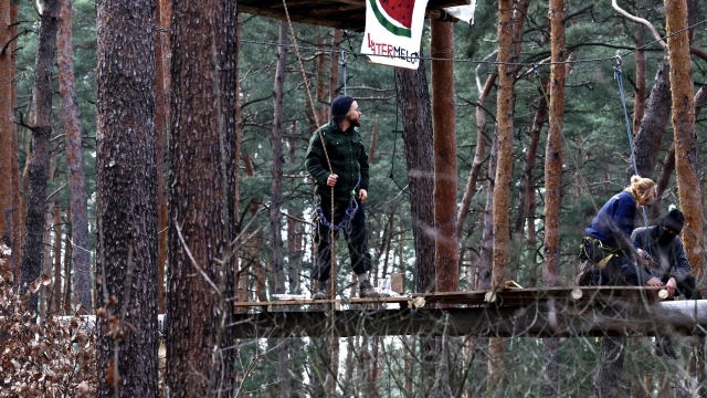 epa11200391 Environmental activists climb trees during their protest against plans to cut down the forest to extend the Tesla Gigafactory, in Gruenheide, near Berlin, Germany, 05 March 2024. Tesla confirms that production at the Tesla Gigafactory in Gruenheide has been stopped due to a blackout on the morning of 05 March. Brandenburg's Interior Minister Michael Stuebgen announced that, according to initial findings, 'unknown perpetrators had set fire to a high-voltage pylon'. The fire had damaged the high-voltage line to such an extent that the power supply to the neighboring villages and the Tesla plant had failed.  EPA/FILIP SINGER