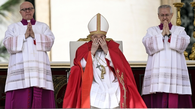 Pope Francis celebrates the Holy Mass of Palm Sunday in Saint Peter's Square, Vatican City, 24 March 2024. ANSA/RICCARDO ANTIMIANI (papa francesco, palme, gestures)
