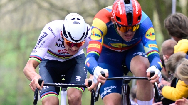 Alpecin-Deceuninck's Dutch rider Mathieu van der Poel (L) and Lidl-Trek's Danish rider Mads Pedersen (R) cycle during the men's Gent-Wevelgem cycling race, 253.1km from Ypres to Wevelgem, on March 24, 2024. (Photo by DIRK WAEM / Belga / AFP) / Belgium OUT