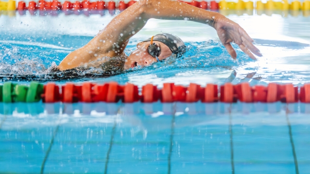 Professional female swimmer swimming the front crawl stroke. Freestyle competition concept.