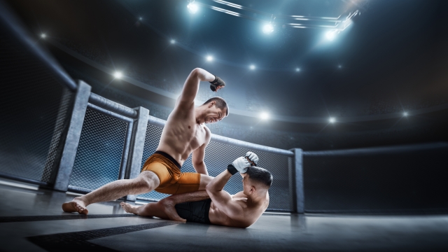 MMA cage. Two fighters are fighting. Punches. Sport action concept. Emotions of winner. Octagon cage