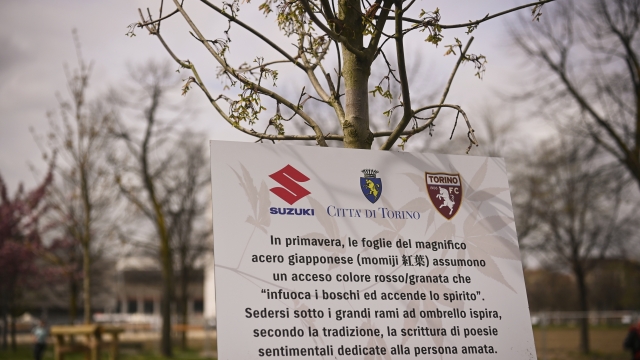 -during the planting ceremony of the 11 trees donated to the city by Suzuki together with the Torino Fc. April 4, 2024. sport. (Photo by Fabio Ferrari/LaPresse)
