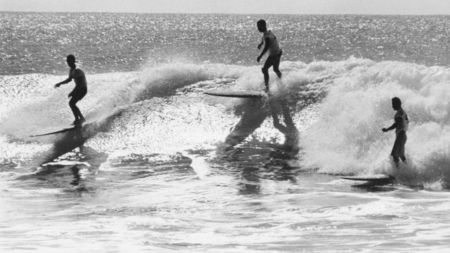 Longboarder surfano alle Hawaii all'alba della rivoluzione, intorno al 1970. Ph. John Titchen/Three Lions/Hulton Archive/Getty Images