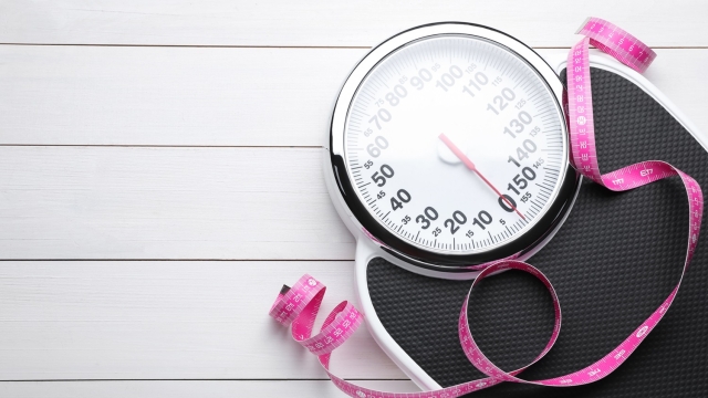 Contare le calorie o il digiuno intermittente per perdere peso