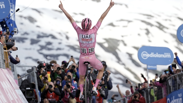 Pogačar Tadej (Team Uae Emirates) celebrates as he cycles to the finish line to win  during the stage 15 of the Giro d'Italia from Manerba del Garda to Livigno, North Italy - Sunday, May 19, 2024 - Sport Cycling (Photo by Marco Alpozzi  /Lapresse)