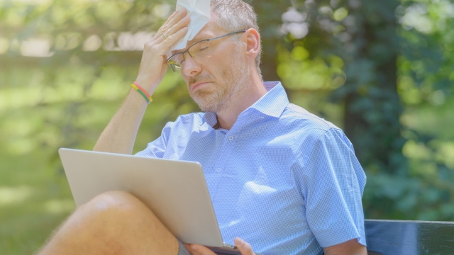 Ondata di calore sull'Italia picchi fino a 40 gradi