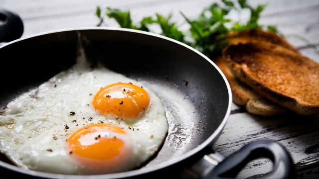 Uova e colesterolo: fanno male davvero? La risposta della scienza