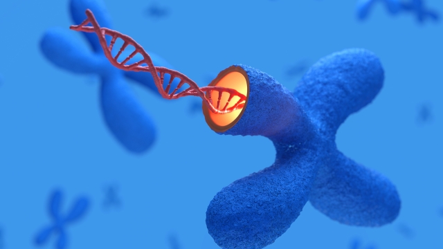 Epigenetica: cos'è e perché è serve per prevenire i tumori