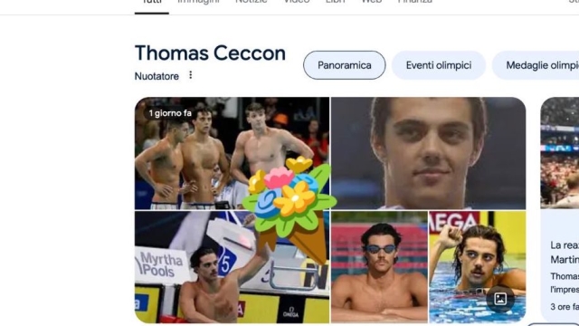 Ceccon mazzo di fiori di Google