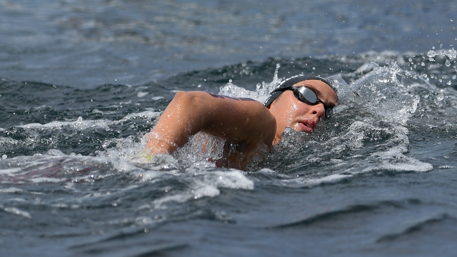 GOLFO ARANCI, ITALY - MAY 24: Sharon Van Rouwendaal of Team Netherland competes in the World Aquatics Open Water Swimming World Cup on May 24, 2024 in Golfo Aranci, Italy. (Photo by Emanuele Perrone/Getty Images)