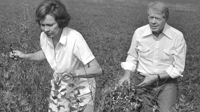 FILE - President Jimmy Carter carries a peanut plant as he follows his wife Rosalynn from the field at their Webster County, Ga., farm on August 19, 1978. (AP Photo/Jim Wells, File)