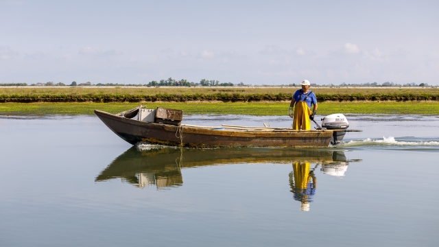 cavallino-Treporti; pescatore di laguna