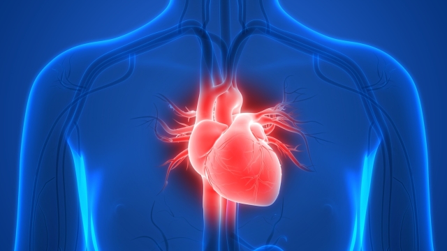 I consigli dei cardiologi per la salute del cuore