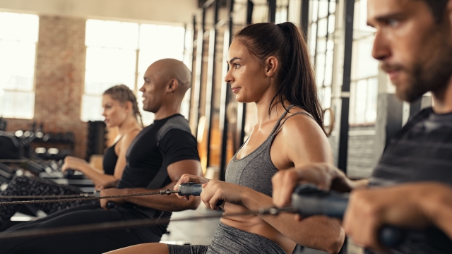 Group of people exercising in gym using rowing machine together. Side view of sportswoman doing exercise on rowing machine in crossfit center. Muscular girl and sporty men workout on training simulator at cross fit gym.