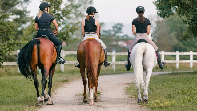 Three horsewomen enjoy riding beautiful horses, side by side along the trail at the equestrian center on a sunny day