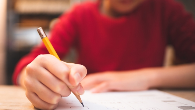 Maturità 2025 la prima prova