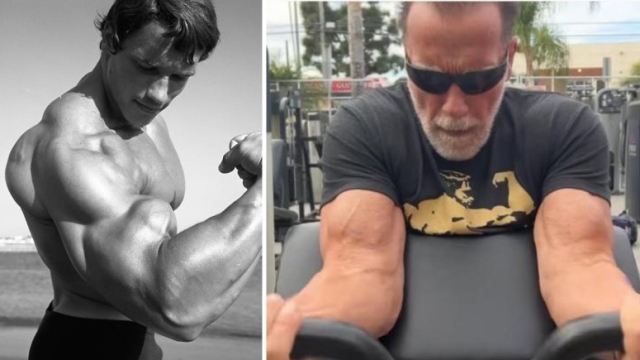 Arnold Schwarzenegger