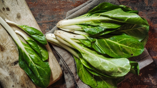 l'ortaggio di stagione per un carico di fibre, antiossidanti e vitamine