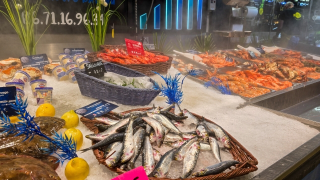 Fresh fish, algae and seafood on the ice on the counter, of the French market. June 20, 2025. Soulac sur Mer, Medoc, Aquitqine, France.
