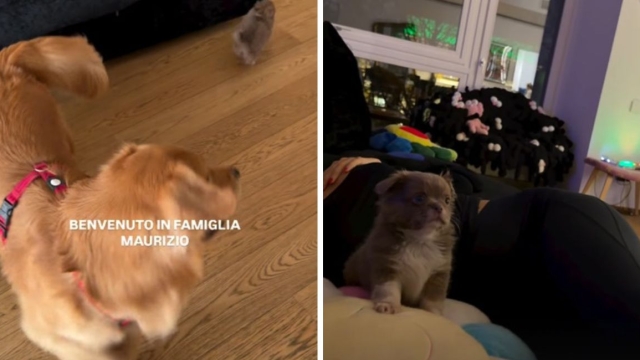 Fedez la famiglia si allarga arriva Maurizio