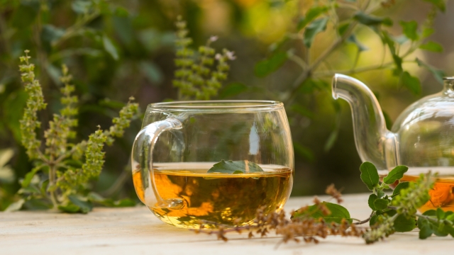Cinque benefici del tè verde