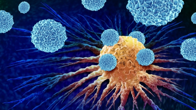 leukocytes attacking a Cancer Cell as an oncology or Malignant Cancerous Growth and Metastasis anatomy concept as white blood cells inside the human body as a 3D illustration.