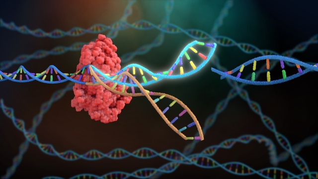 Colesterolo alto arriva la cura definitiva con terapia genica