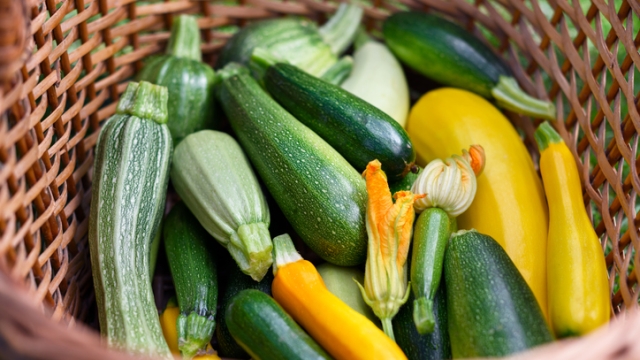 Varietà di zucchine