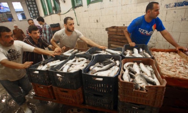 Alessandria d'Egitto, Egitto. Mercato del pesce (Xinhua/Ahmed Gomaa).