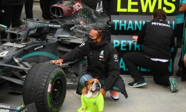 Lewis Hamilton con l’amata Mercedes e il fidato Roscoe. Getty