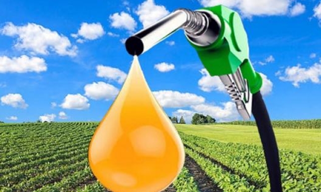Lo sviluppo della produzione dei biocarburanti, ottenuti da processi naturali anziché da attività estrattive, è già una realtà