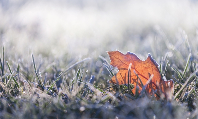 Meteo del weekend, due perturbazioni in arrivo dal 6 febbraio. Ecco dove pioverà