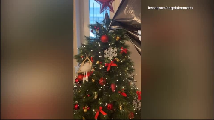 Il tecnico della Juventus festeggia il Natale con un albero su cui domina la bandiera bianconera come mostra su Instagram la moglie Angela Lee Motta.