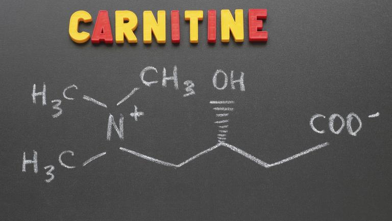l carnitina dove si trova Carnitina e sport: dove si trova e perché aumenta le prestazioni