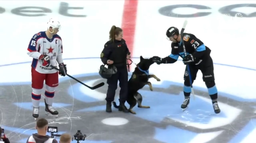 Cane della polizia "azzanna" il guanto di un giocatore da hockey