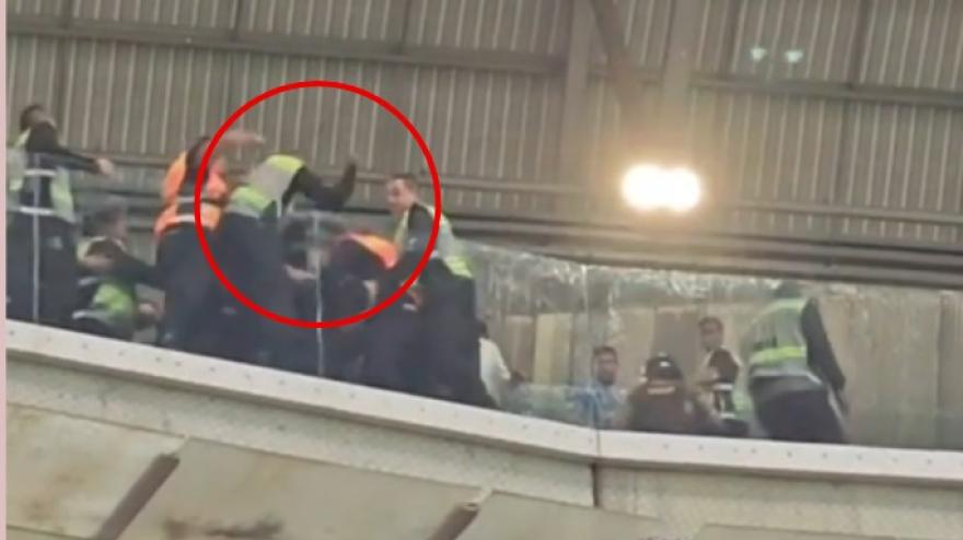 vergogna in brasile intervento shock della polizia sugli spalti