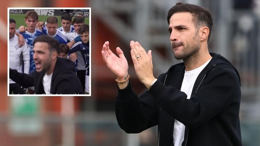 Fabregas da pelle d Fabregas da pelle d