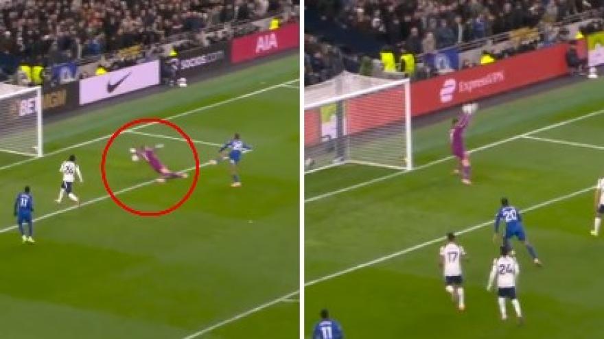 Vicario para l Vicario para l