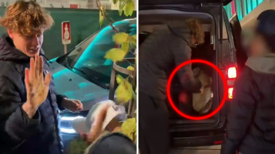 Un bimbo gli fa i complimenti: il gesto di Sinner scalda il cuore Un bimbo gli fa i complimenti: il gesto di Sinner scalda il cuore