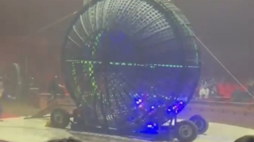 napoli tragedia al circo stuntman perde la vita durante lo spettacolo