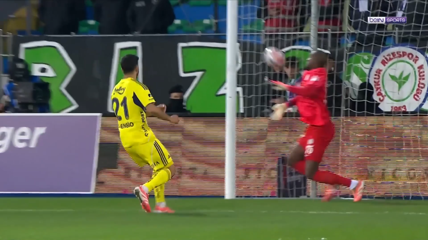 La papera dell La papera dell