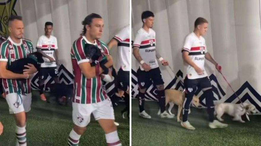 Entrano in campo...con i cani! L