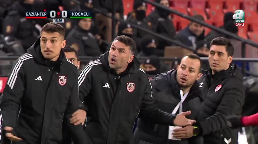 Prende un rosso e impazzisce: allenatore portato via di peso