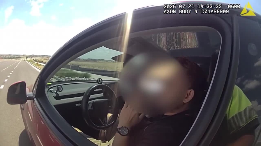 Va troppo veloce, dà la colpa all'Autopilot Tesla