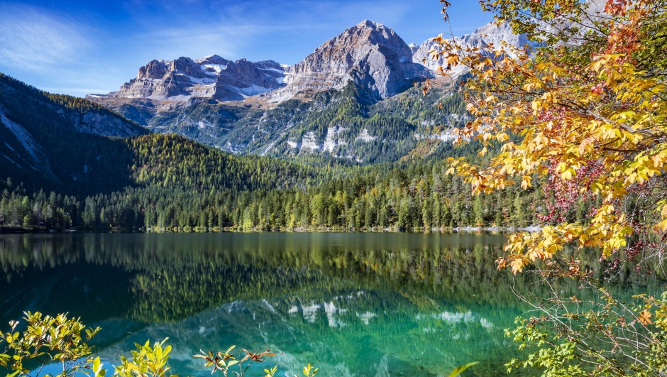 Lake Tovel is a idyllic place in the Dolomites, Trentino Alto Adige, Italy; this is a view of an half-october sunny day, with autumn leafs colors and mountain reflected in calm, green, pure water