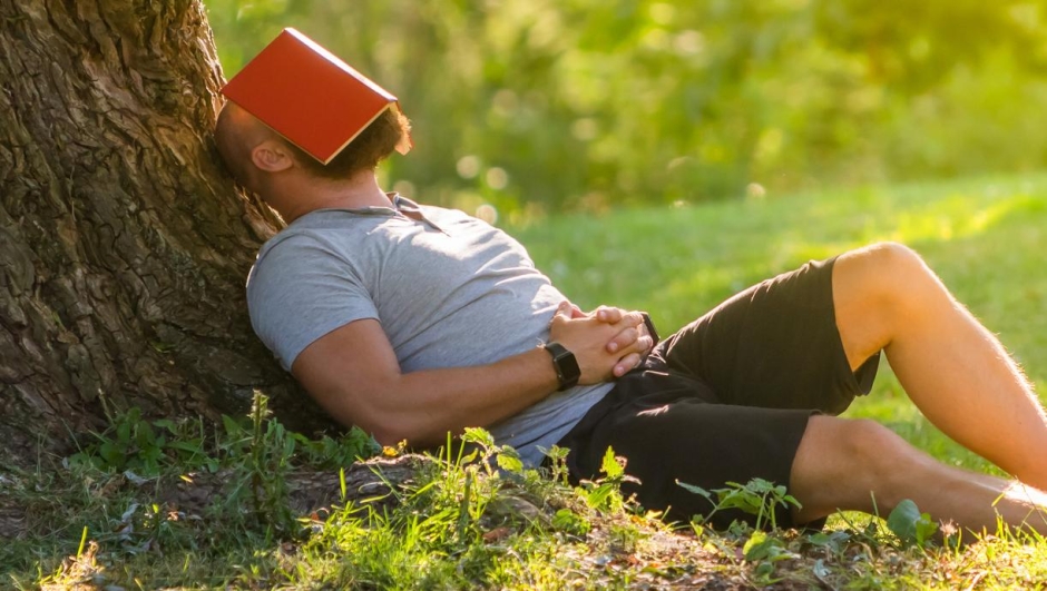 a young man is sleeping under the tree (weeping willow) with the book on his face