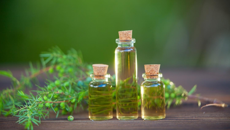 Tea tree oil: dal mal di gola ai brufoli, tutti gli usi e i benefici