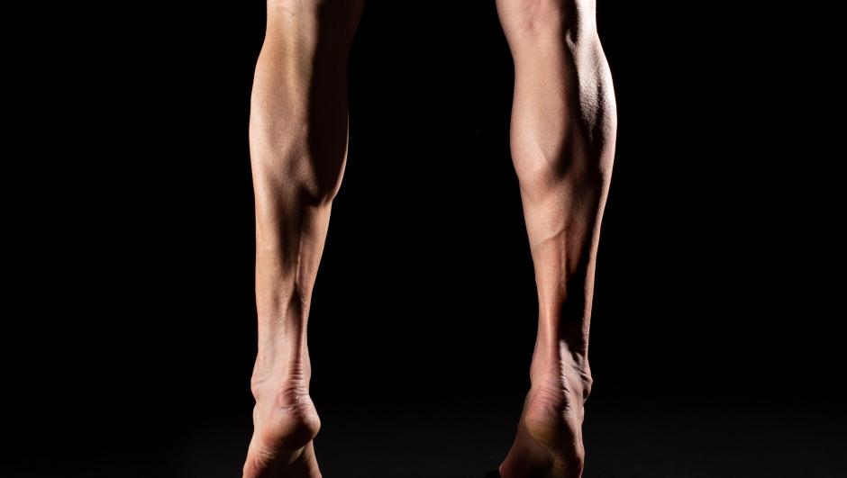 Gambe e muscoli