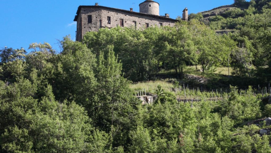 Il castello di Nus (foto Regione Valle d'Aosta)